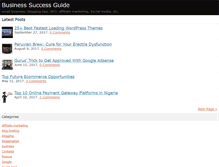 Tablet Screenshot of bizsuccessguide.com